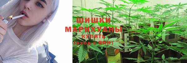 трава Алексин