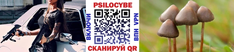 закладка  hydra ссылка  Галлюциногенные грибы Psilocybe  Красноуральск 